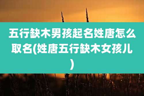 五行缺木男孩起名姓唐怎么取名(姓唐五行缺木女孩儿)