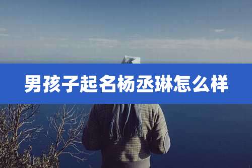男孩子起名杨丞琳怎么样
