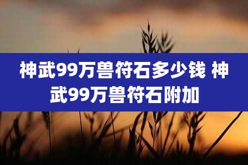 神武99万兽符石多少钱 神武99万兽符石附加