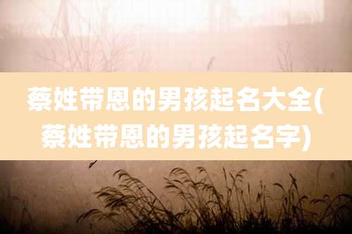 蔡姓带恩的男孩起名大全(蔡姓带恩的男孩起名字)