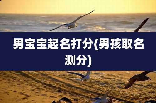 男宝宝起名打分(男孩取名测分)