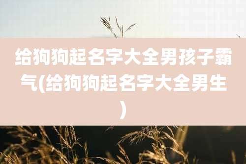 给狗狗起名字大全男孩子霸气(给狗狗起名字大全男生)