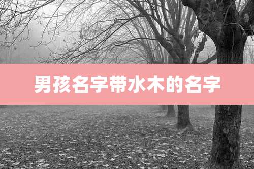 男孩名字带水木的名字