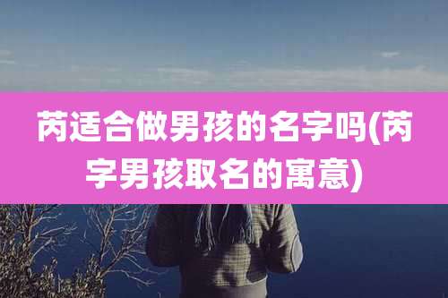 芮适合做男孩的名字吗(芮字男孩取名的寓意)