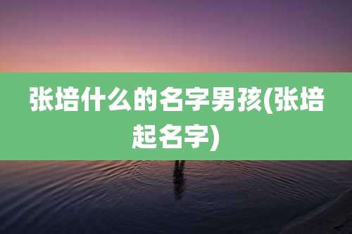 张培什么的名字男孩(张培起名字)