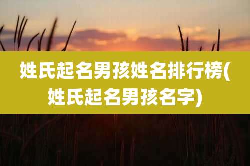 姓氏起名男孩姓名排行榜(姓氏起名男孩名字)