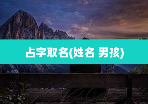 占字取名(姓名 男孩)
