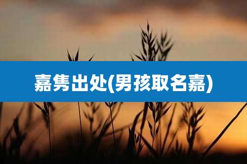 嘉隽出处(男孩取名嘉)