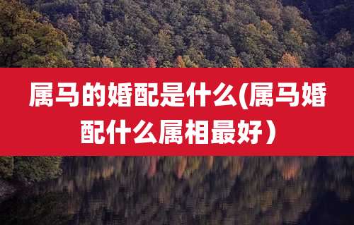 属马的婚配是什么(属马婚配什么属相最好）