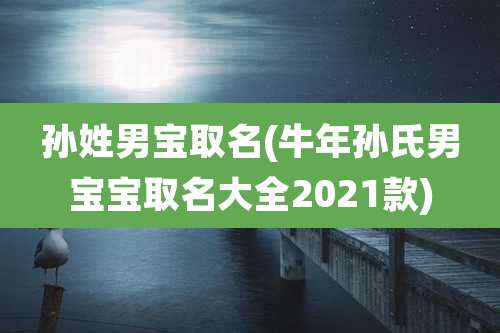 孙姓男宝取名(牛年孙氏男宝宝取名大全2021款)