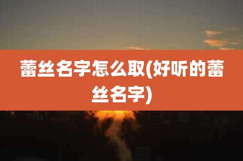 蕾丝名字怎么取(好听的蕾丝名字)