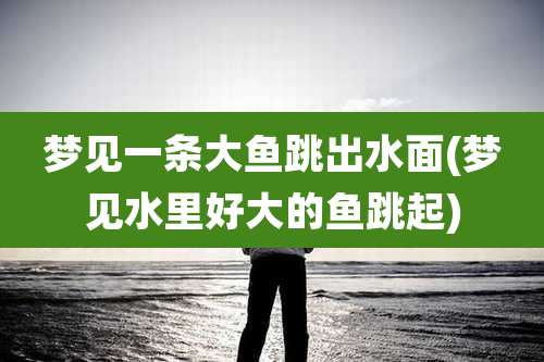 梦见一条大鱼跳出水面(梦见水里好大的鱼跳起)