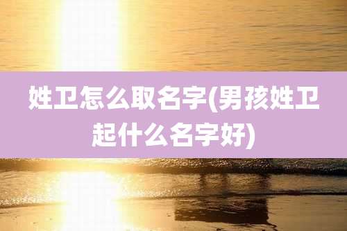 姓卫怎么取名字(男孩姓卫起什么名字好)