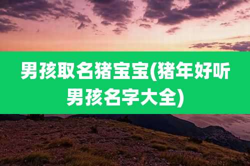 男孩取名猪宝宝(猪年好听男孩名字大全)