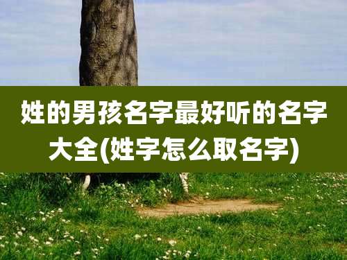 姓的男孩名字最好听的名字大全(姓字怎么取名字)