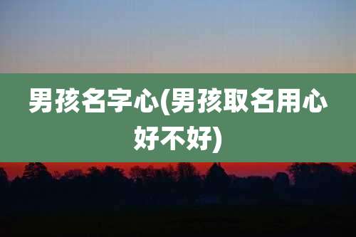 男孩名字心(男孩取名用心好不好)