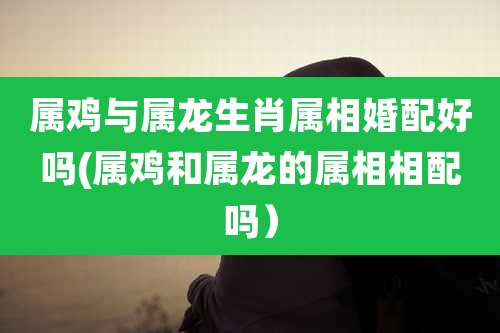 属鸡与属龙生肖属相婚配好吗(属鸡和属龙的属相相配吗）