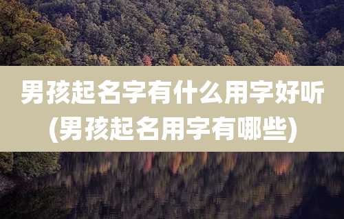 男孩起名字有什么用字好听(男孩起名用字有哪些)