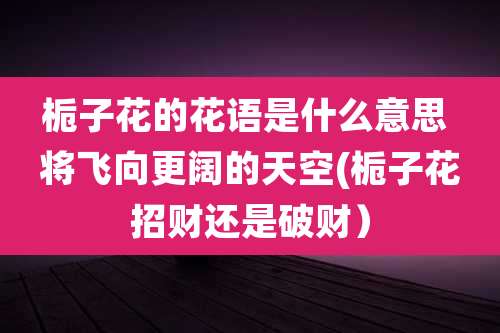 栀子花的花语是什么意思 将飞向更阔的天空(栀子花招财还是破财)