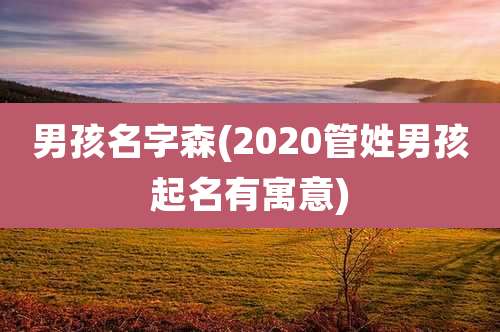 男孩名字森(2020管姓男孩起名有寓意)