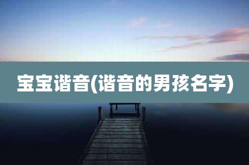 宝宝谐音(谐音的男孩名字)