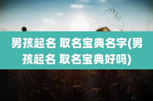 男孩起名 取名宝典名字(男孩起名 取名宝典好吗)