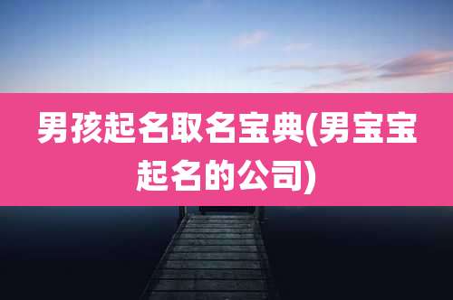 男孩起名取名宝典(男宝宝起名的公司)