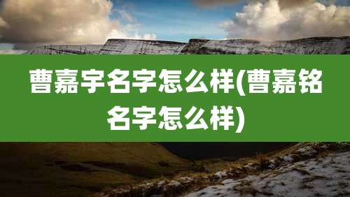 曹嘉宇名字怎么样(曹嘉铭名字怎么样)