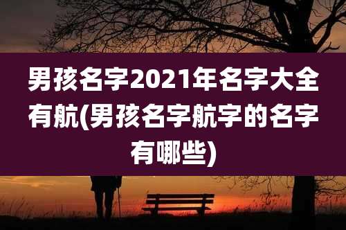 男孩名字2021年名字大全有航(男孩名字航字的名字有哪些)