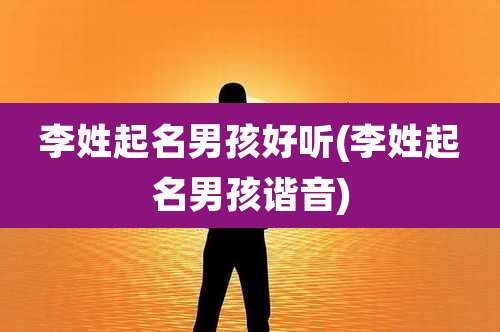 李姓起名男孩好听(李姓起名男孩谐音)