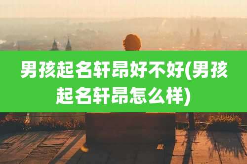 男孩起名轩昂好不好(男孩起名轩昂怎么样)