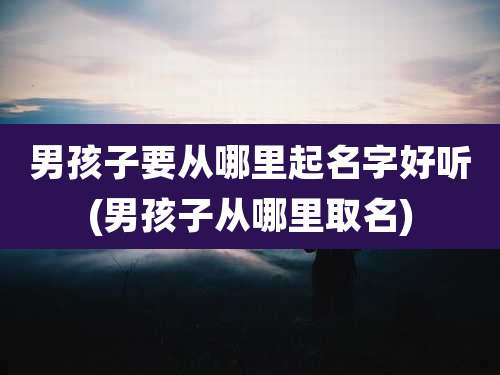 男孩子要从哪里起名字好听(男孩子从哪里取名)