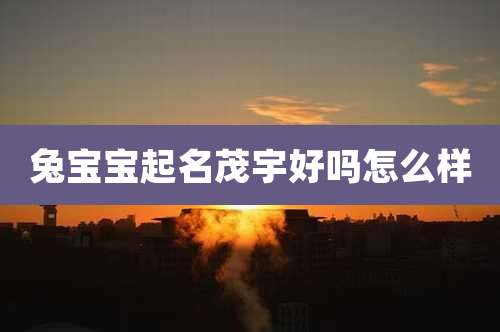 兔宝宝起名茂宇好吗怎么样