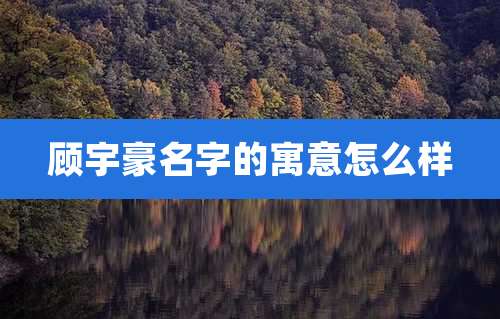 顾宇豪名字的寓意怎么样