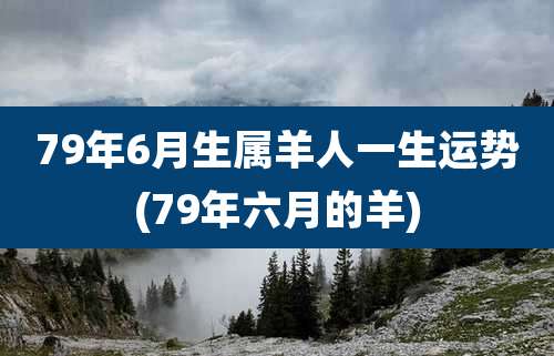 79年6月生属羊人一生运势(79年六月的羊)