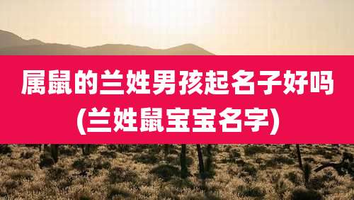 属鼠的兰姓男孩起名子好吗(兰姓鼠宝宝名字)