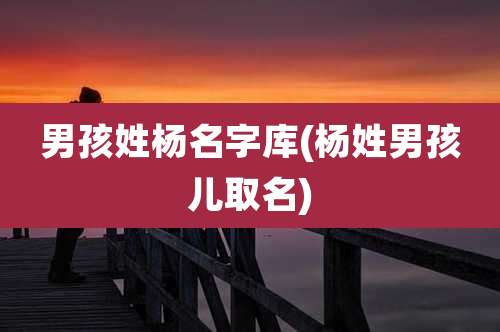 男孩姓杨名字库(杨姓男孩儿取名)