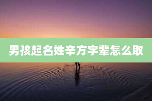 男孩起名姓辛方字辈怎么取
