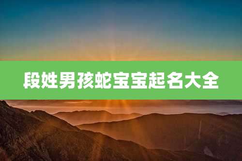 段姓男孩蛇宝宝起名大全