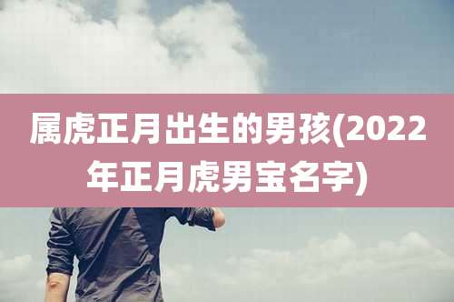 属虎正月出生的男孩(2022年正月虎男宝名字)