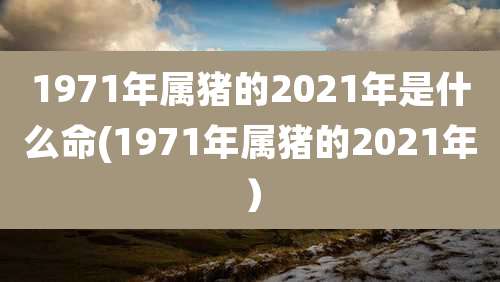 1971年属猪的2021年是什么命(1971年属猪的2021年)