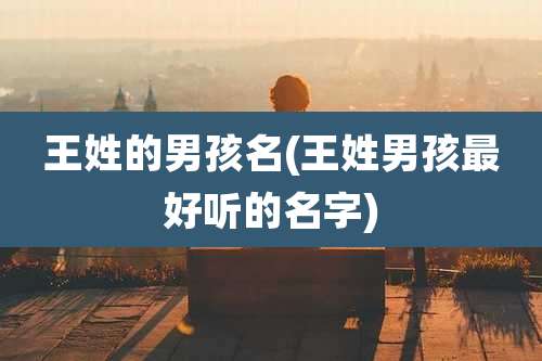 王姓的男孩名(王姓男孩最好听的名字)