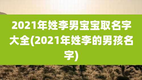 2021年姓李男宝宝取名字大全(2021年姓李的男孩名字)