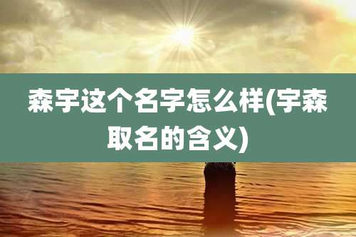 森宇这个名字怎么样(宇森取名的含义)