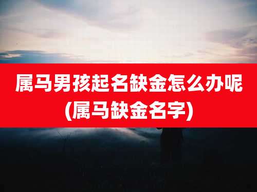 属马男孩起名缺金怎么办呢(属马缺金名字)