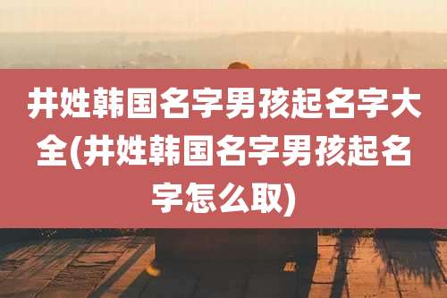 井姓韩国名字男孩起名字大全(井姓韩国名字男孩起名字怎么取)