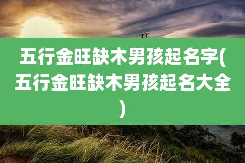 五行金旺缺木男孩起名字(五行金旺缺木男孩起名大全)