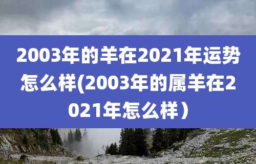 2003年的羊在2021年运势怎么样(2003年的属羊在2021年怎么样）