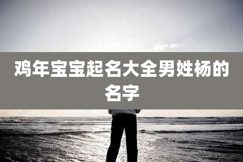 鸡年宝宝起名大全男姓杨的名字