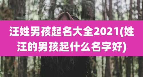 汪姓男孩起名大全2021(姓汪的男孩起什么名字好)